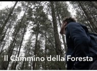 Il cammino della foresta